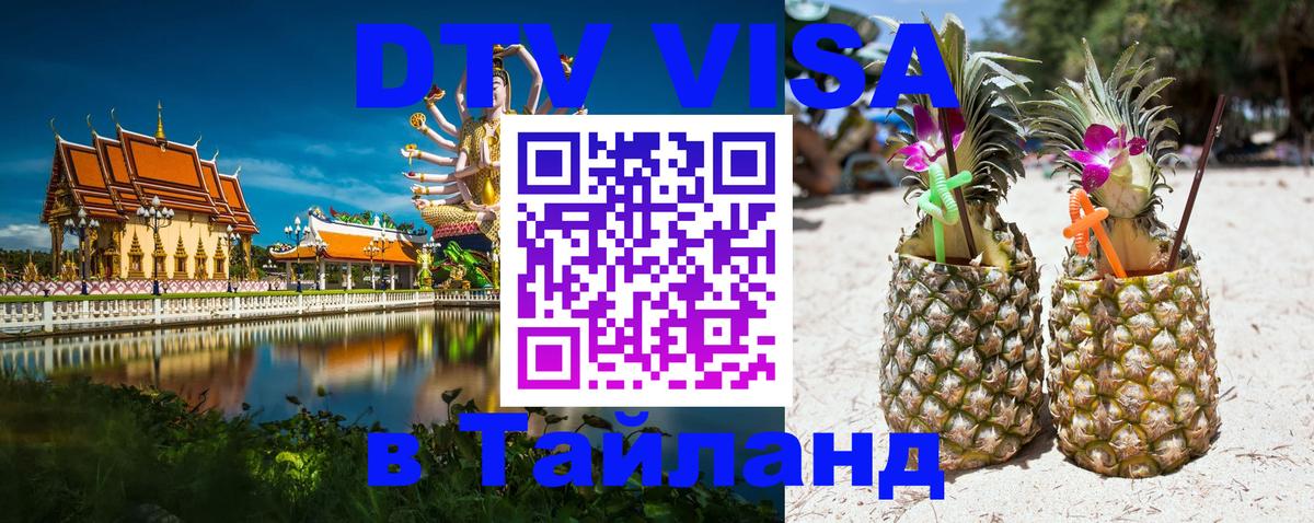 Оформление DTV визы под ключ: стоимость и тарифы, только загранпаспорт - Волгодонск  19.11.2025 